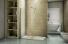 Душевое ограждение Good Door WALK-IN SP-120-C-CH